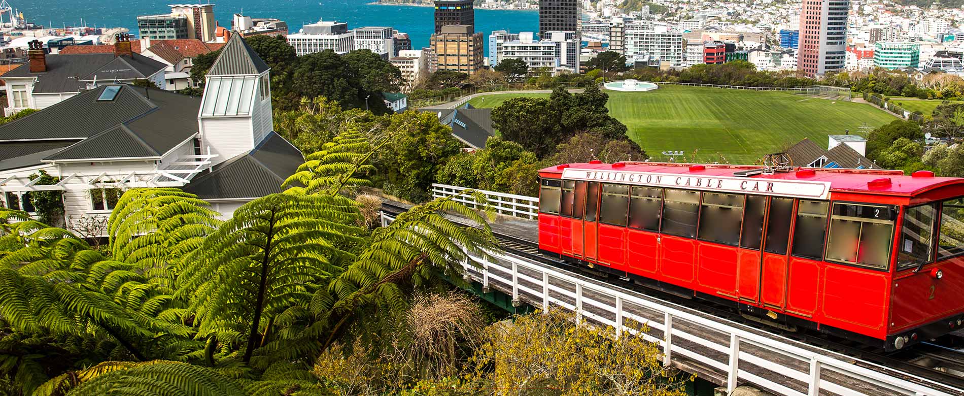 Wellington