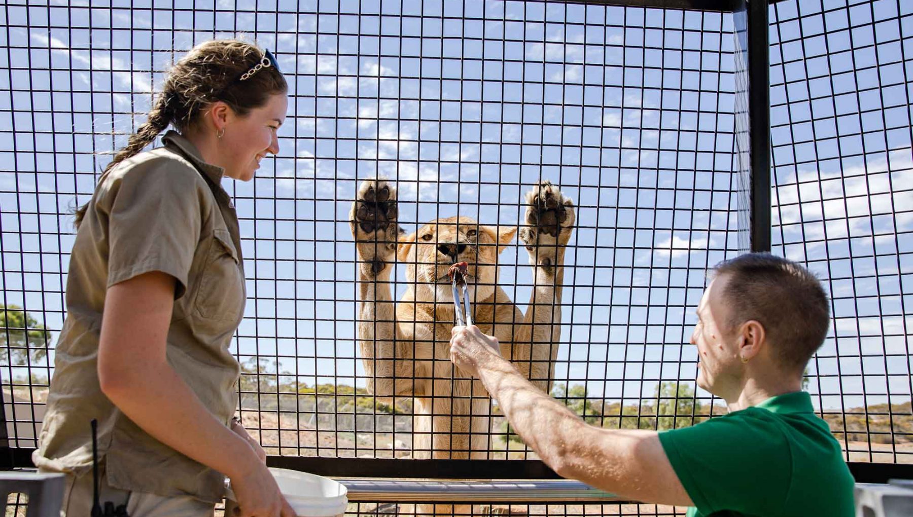 Monarto Zoo - Oval Hotel Adelaide