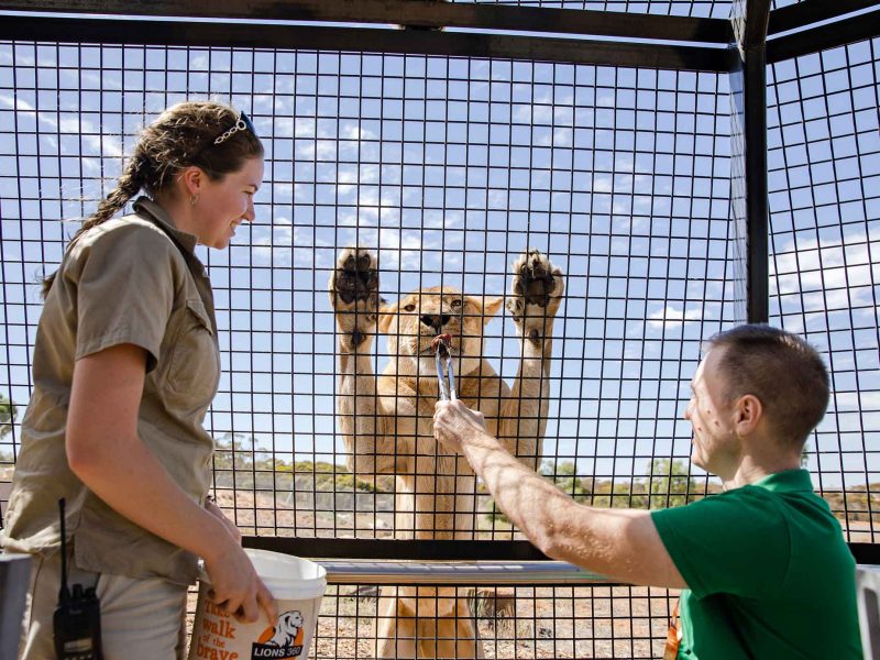 Monarto Zoo - Oval Hotel Adelaide