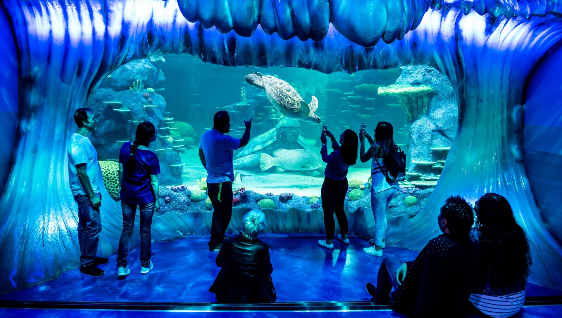 SEA LIFE Sydney Aquarium