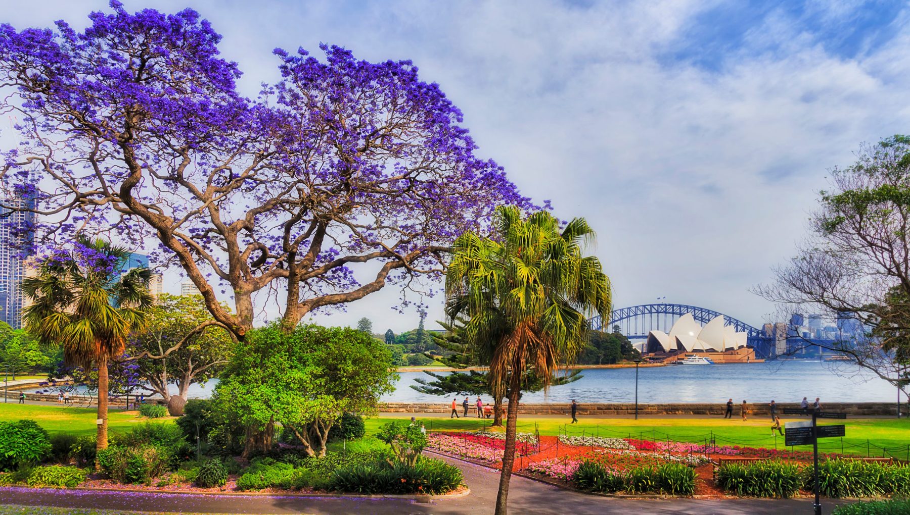 Royal Botanic Gardens