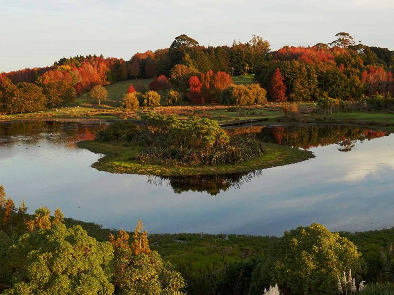 Ayrlies Garddens and Wetlands - Things to do near Rydges Formosa Golf Resort