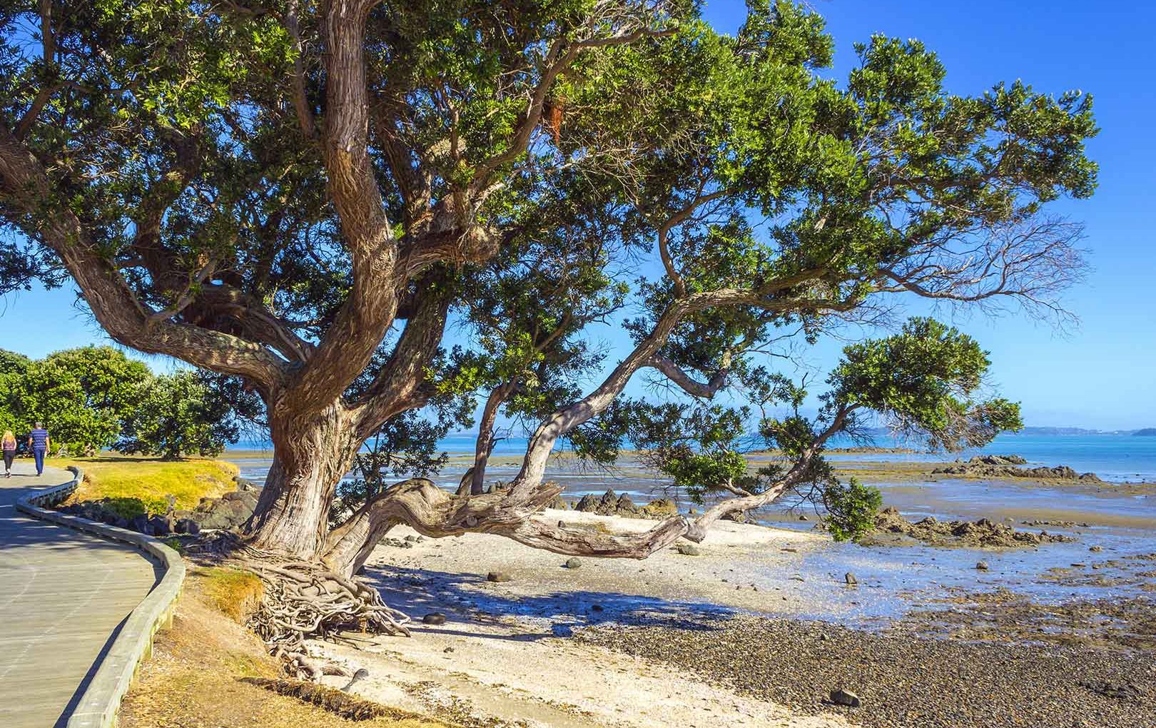 Omana Regional Park - Things to do near Rydges Formosa Golf Resort
