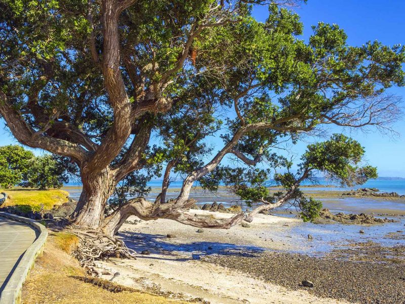 Omana Regional Park - Things to do near Rydges Formosa Golf Resort