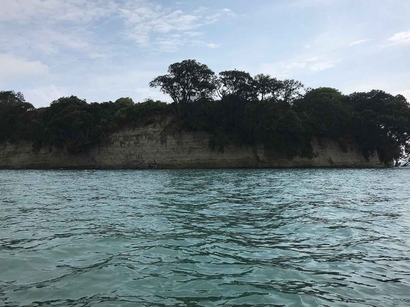 Motukaraka Island - Things to do near Rydges Formosa Golf Resort