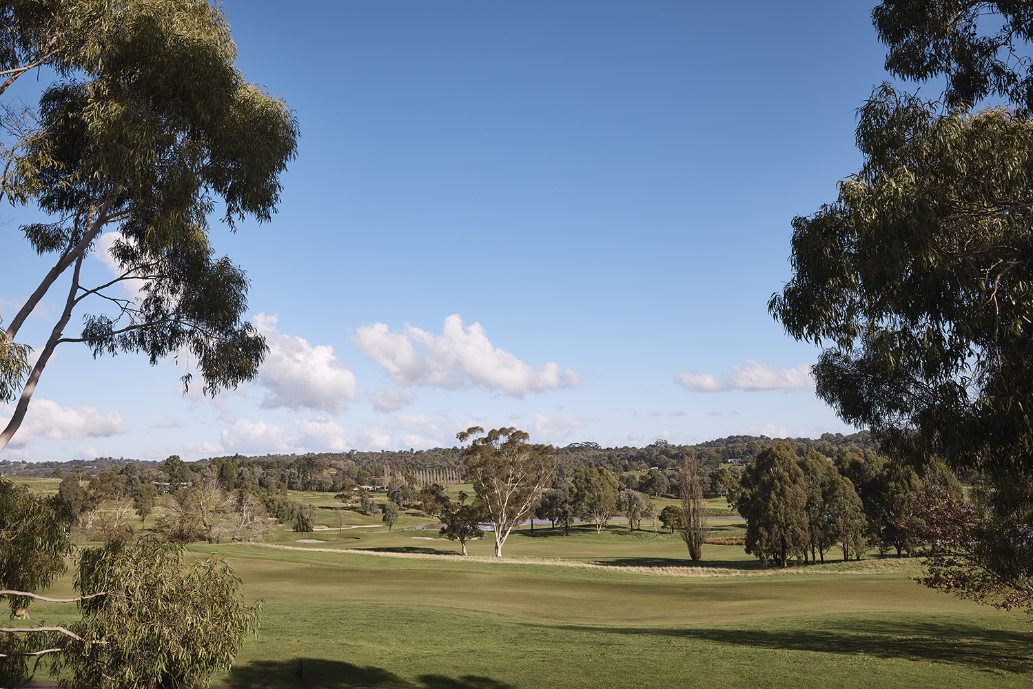 Yarra Valley Day Trips