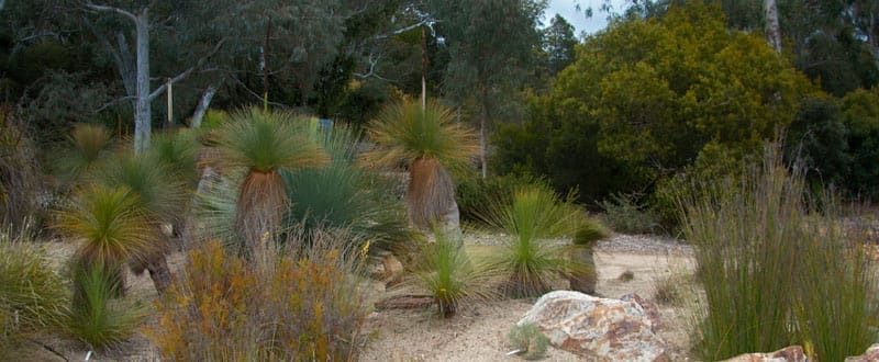 Botanic Gardens - Things to Do Near HotelMOTEL
