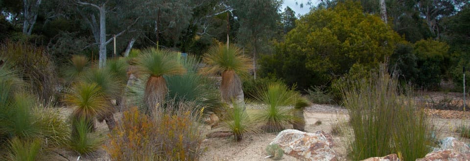 Botanic Gardens - Things to Do Near HotelMOTEL