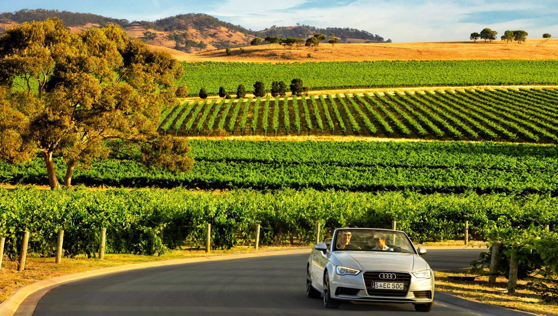Barossa Valley