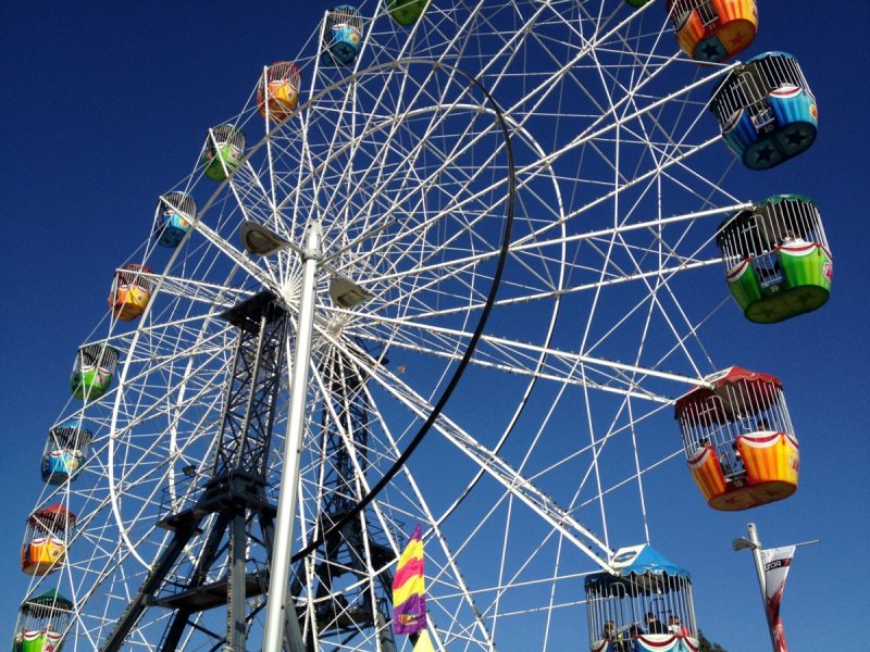 Adelaide Showground Things to Do near The Terrace Hotel Adelaide