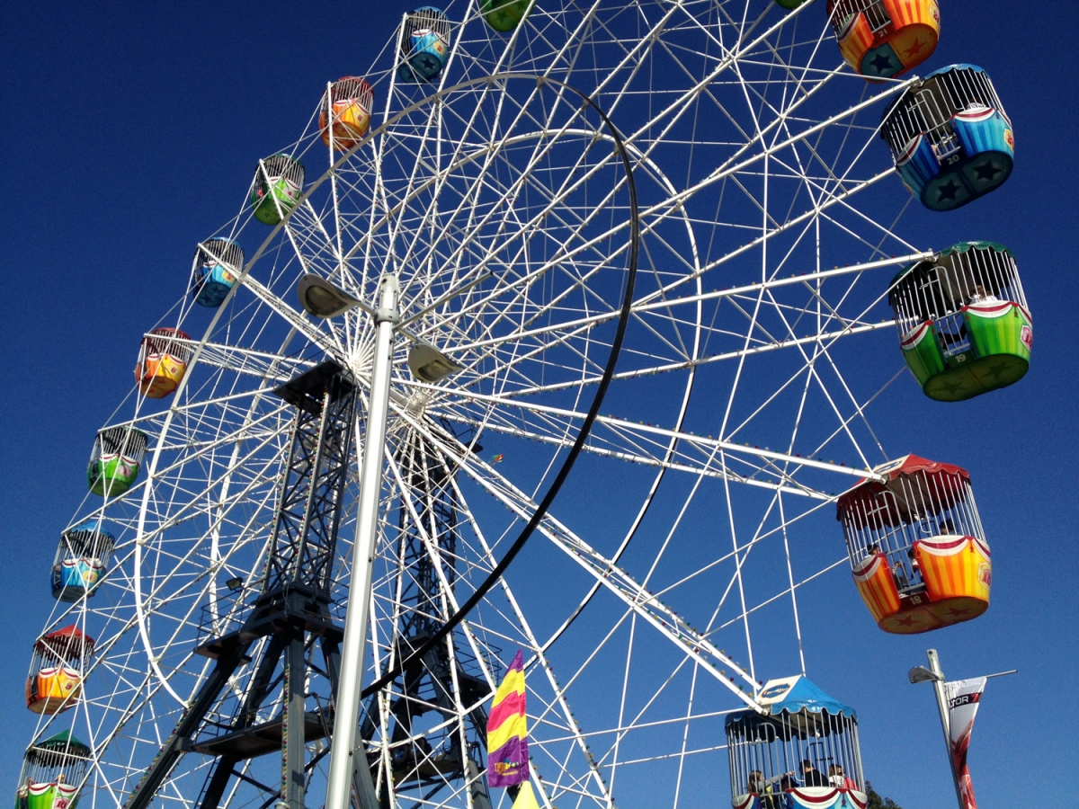Adelaide Showground Things to Do near The Terrace Hotel Adelaide