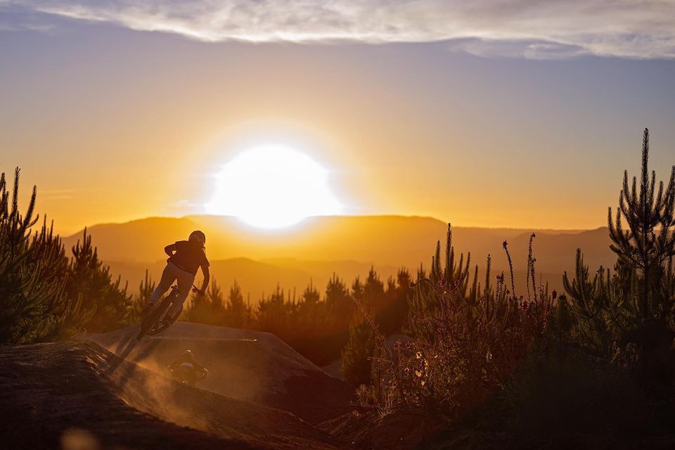 Mountain Bike Rotorua