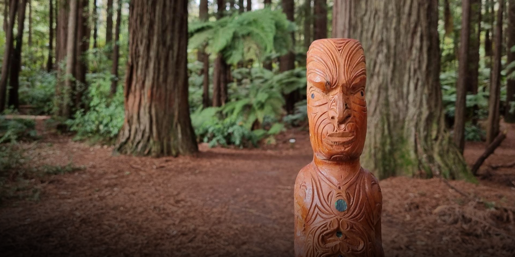 WIN THE ULTIMATE ROTORUA FAMILY ESCAPE