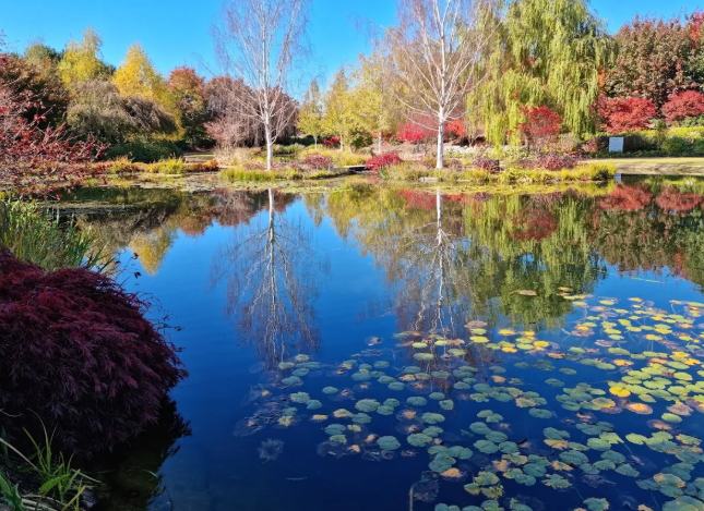Mayfield Garden