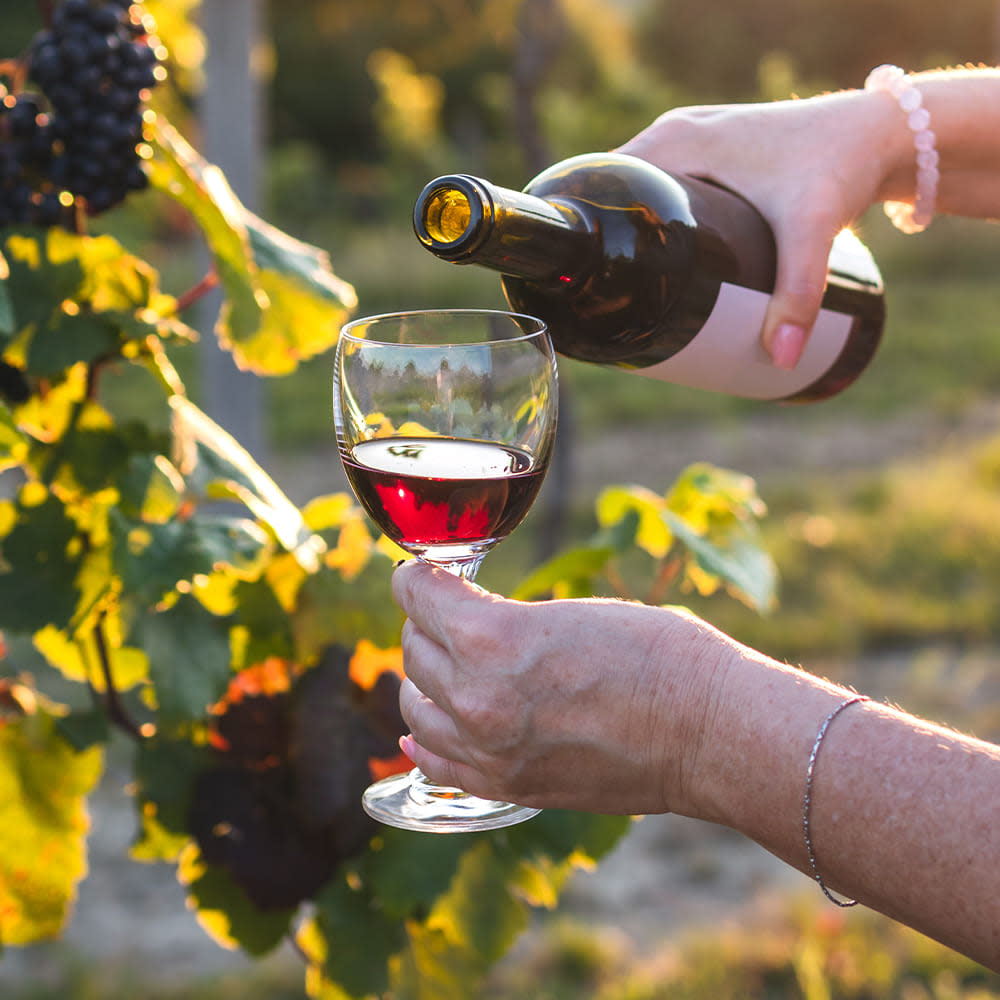 Wines of Bathurst Tour