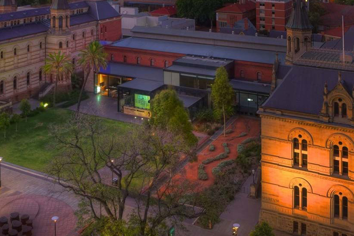 South Australian Museum