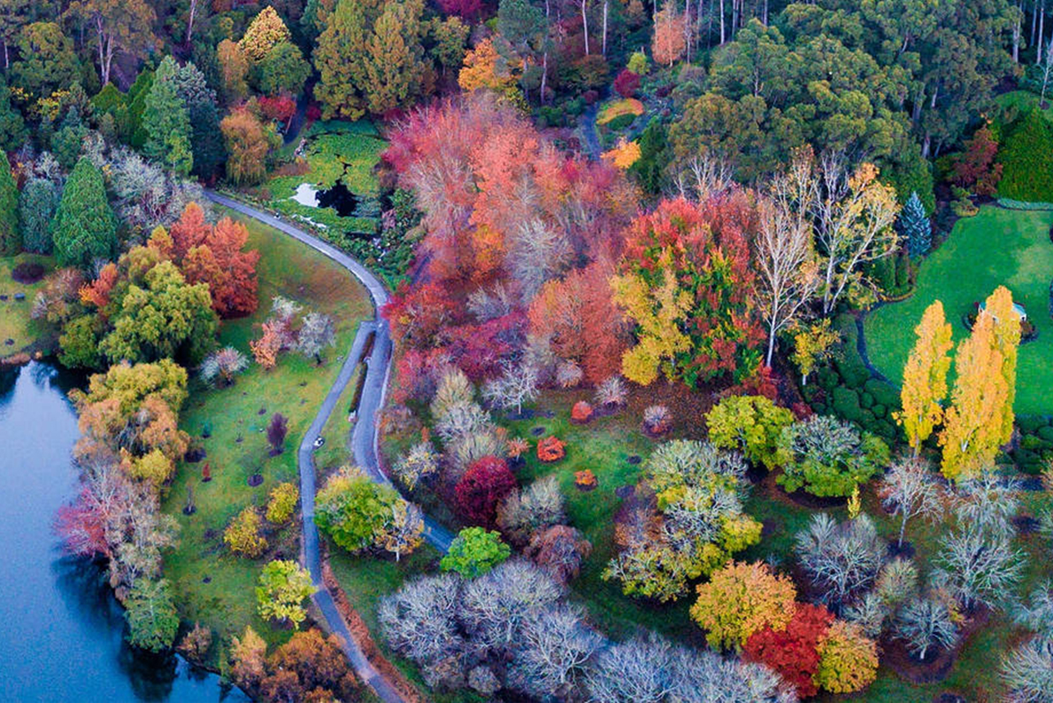 Adelaide Hills