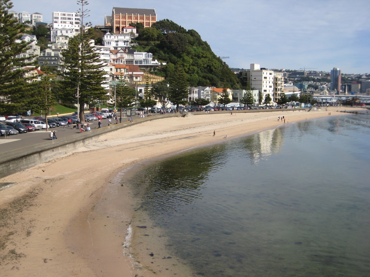 Oriental Bay Beach