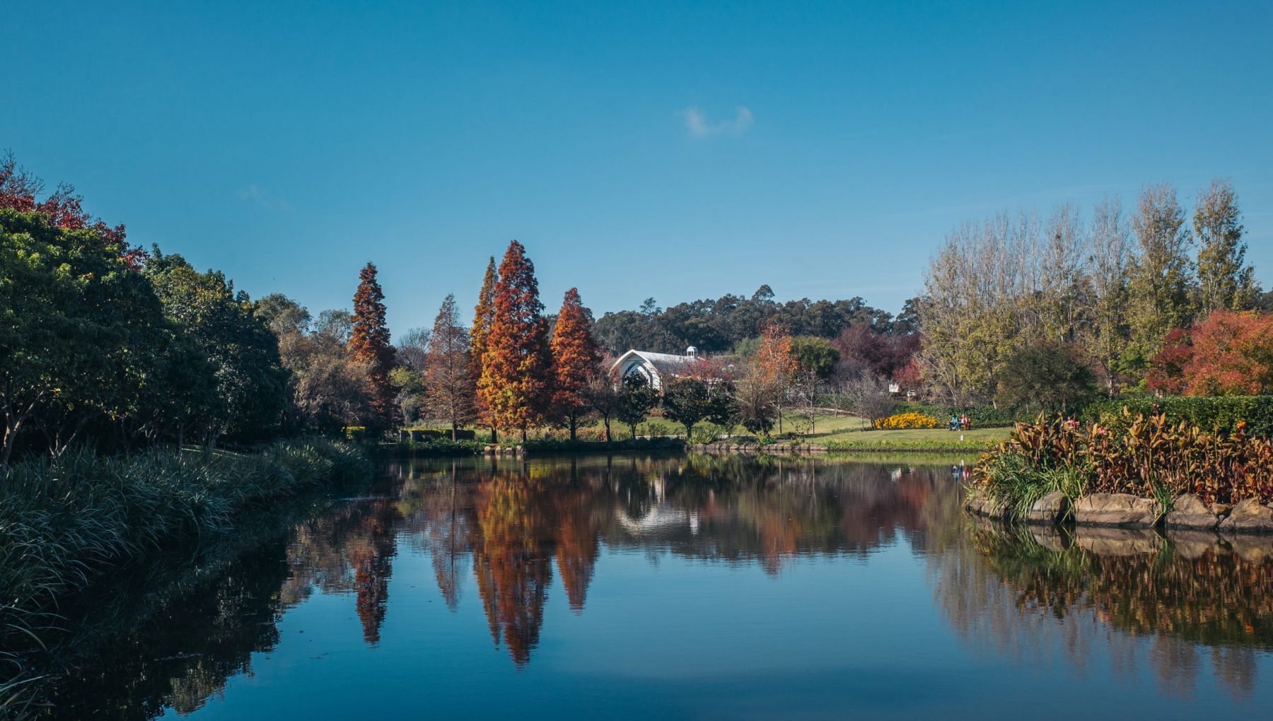 Hunter Valley Gardens