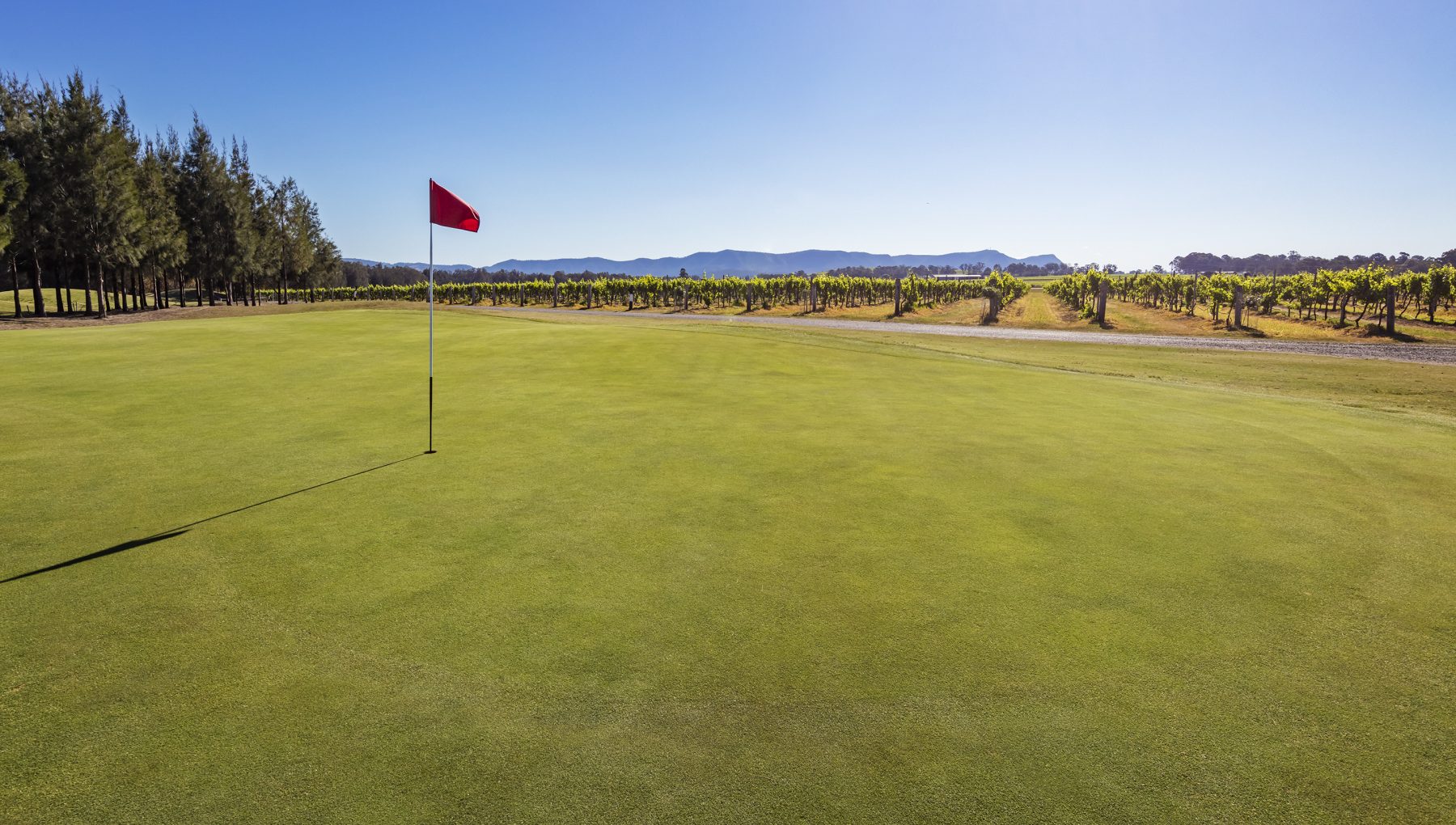 Tuesday 23rd June - Stableford