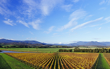 Yarra Valley