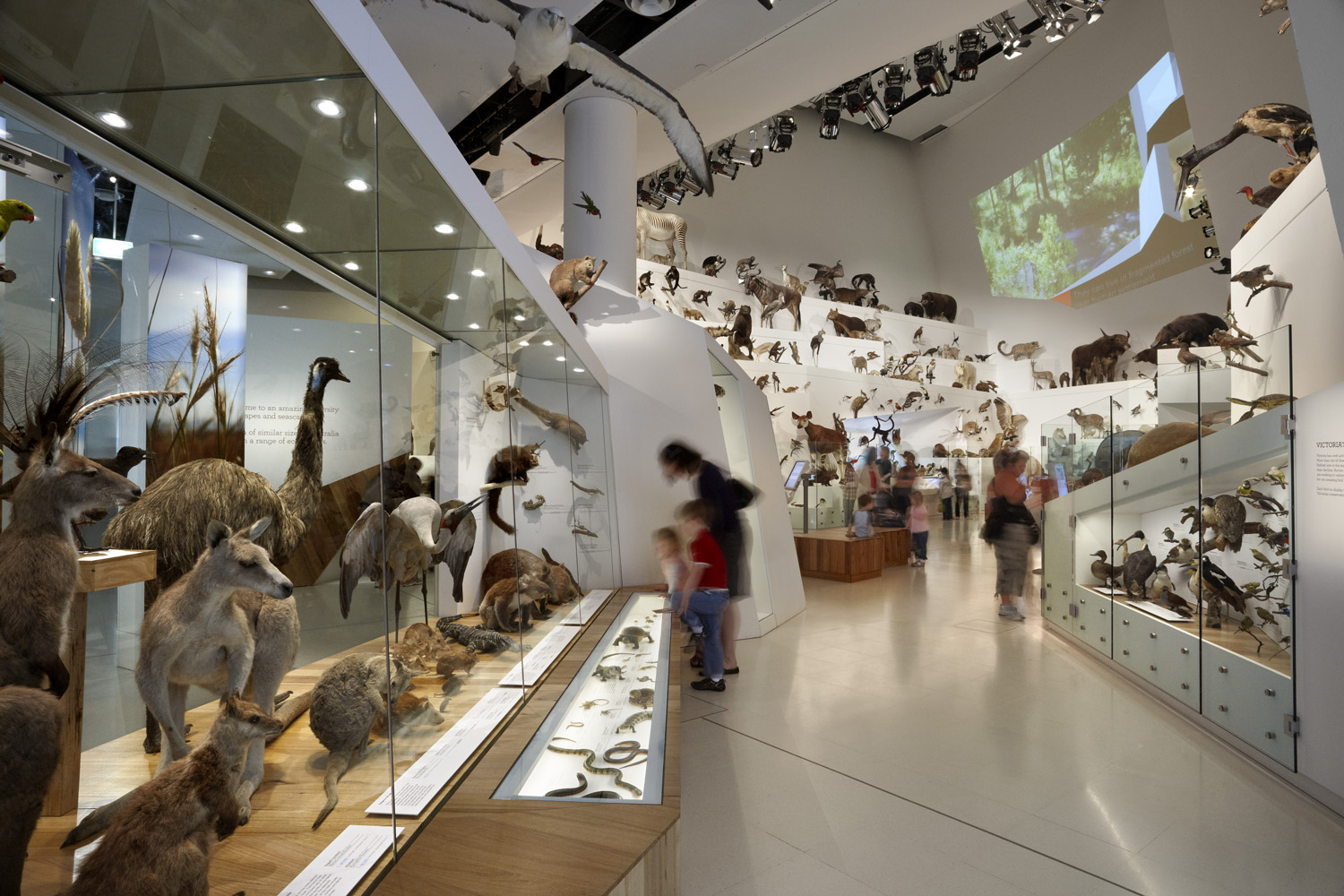 Melbourne Museum