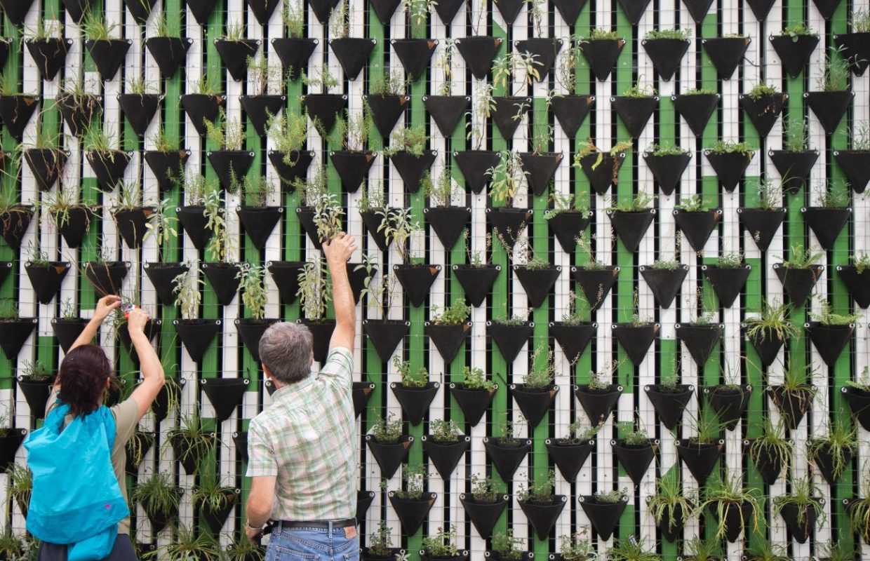 Environmental Sustainability – Meetings & Events