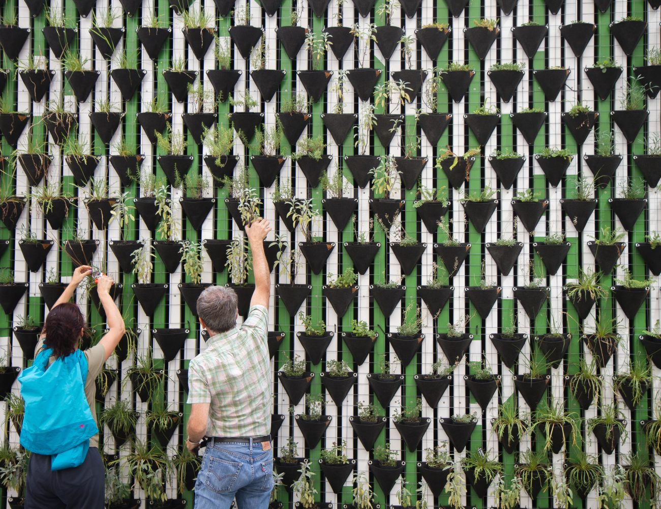 Environmental Sustainability – Meetings & Events