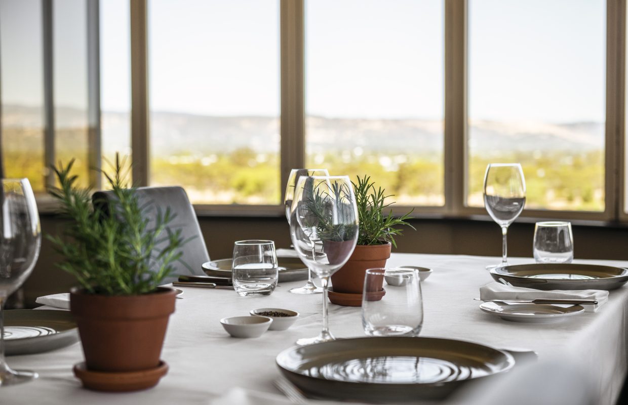 A dining table set with plates, glasses, and potted herbs, overlooking a scenic view through large windows.