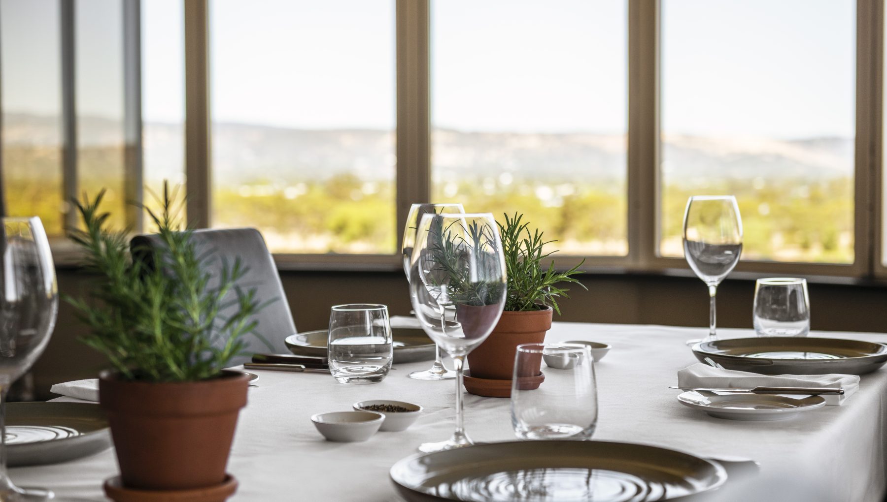 A dining table set with plates, glasses, and potted herbs, overlooking a scenic view through large windows.