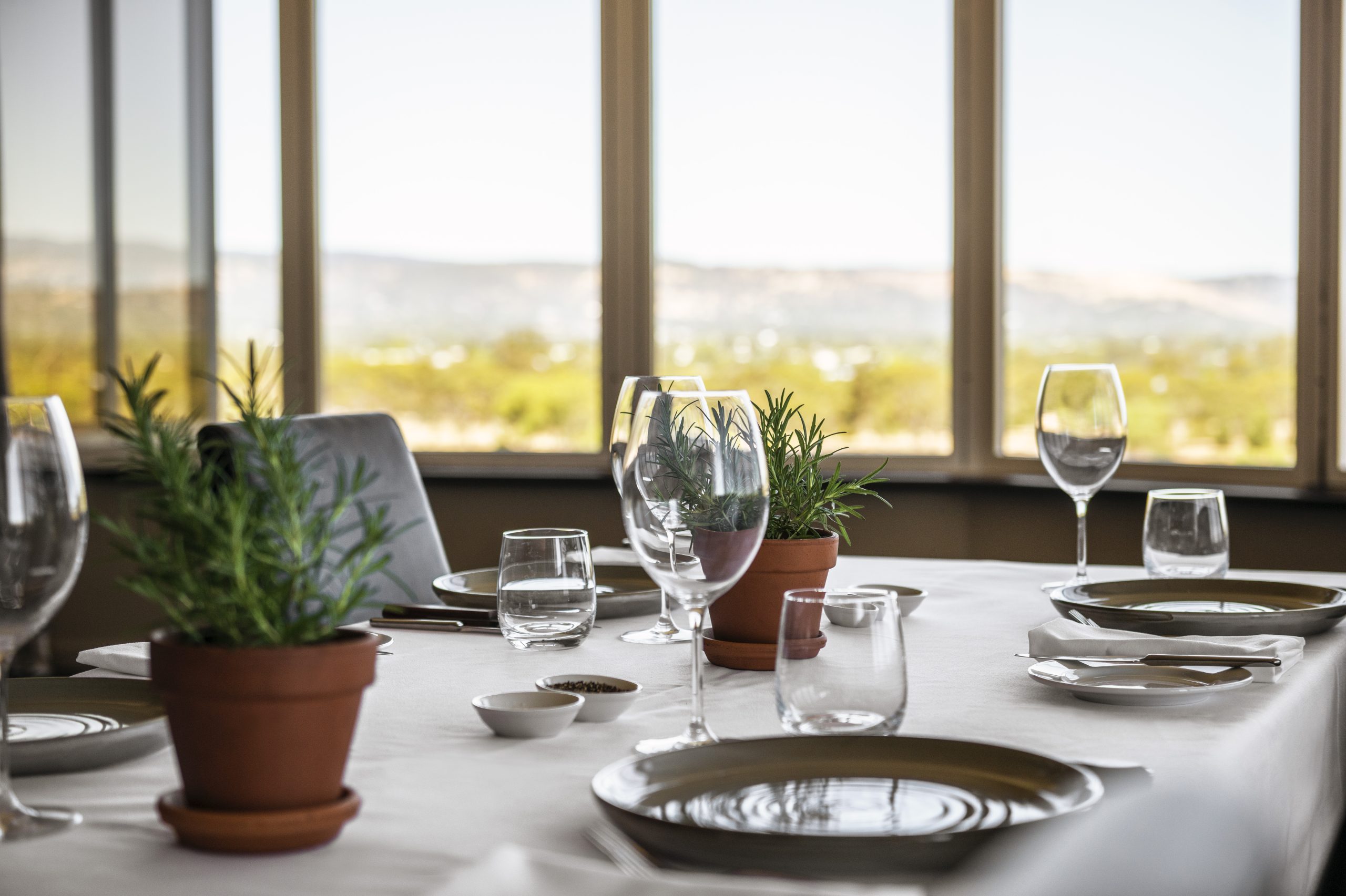 A dining table set with plates, glasses, and potted herbs, overlooking a scenic view through large windows.
