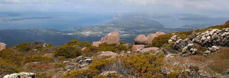 Mt Wellington
