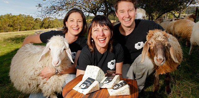 Grandvewe Cheese Affinage Experience
