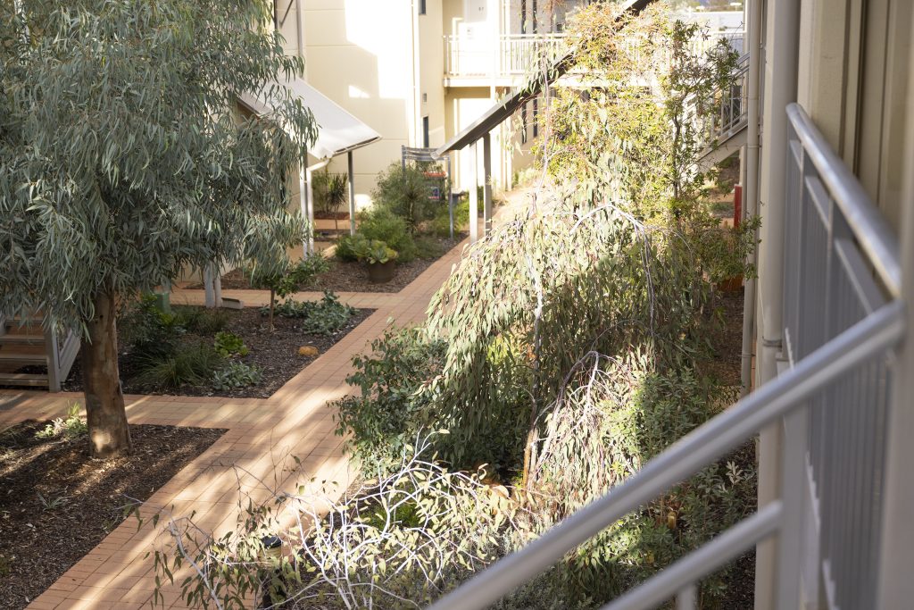 Deluxe King Spa Balcony Studio - Image 3