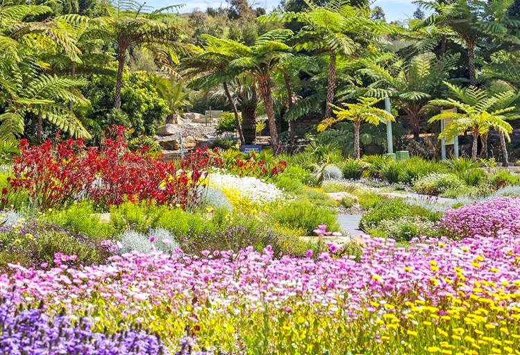 The Australian Botanic Gardens