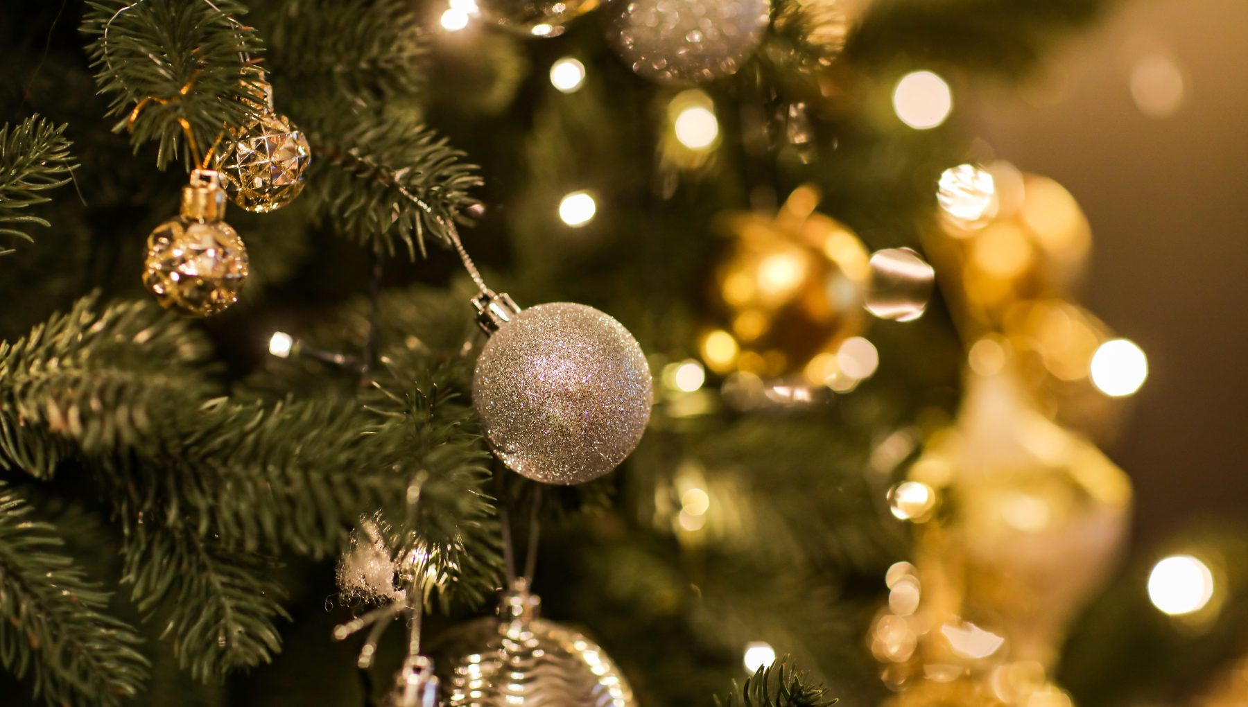 Close up view of beautiful fir branches with shiny golden bauble or ball, xmas ornaments and lights, Christmas holidays background. copy space. Decoration on christmas tree. Festive new 2023 year