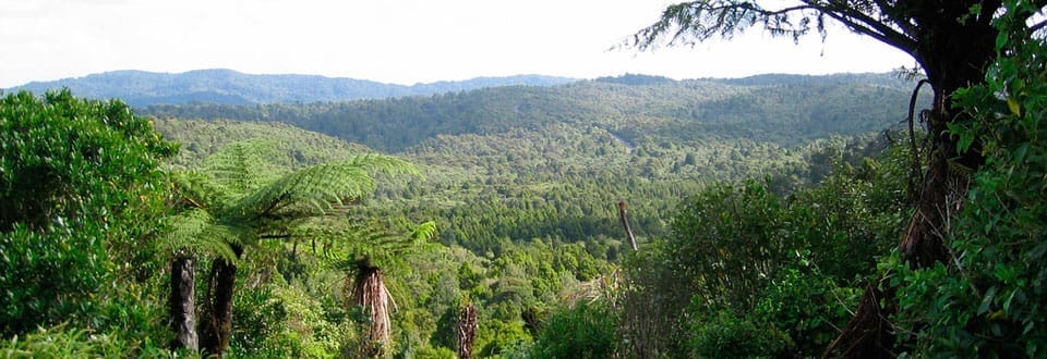 Waitakere Range