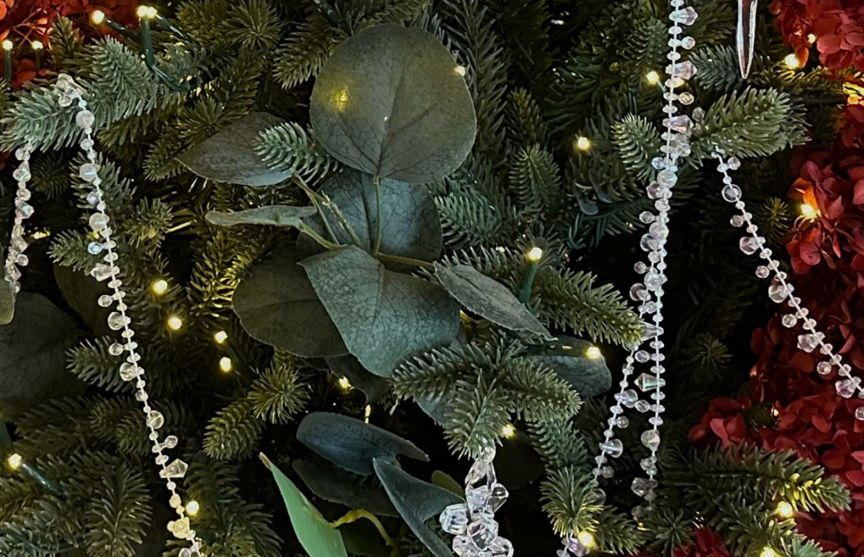Celebrate the Festive Season in the Heart of Auckland