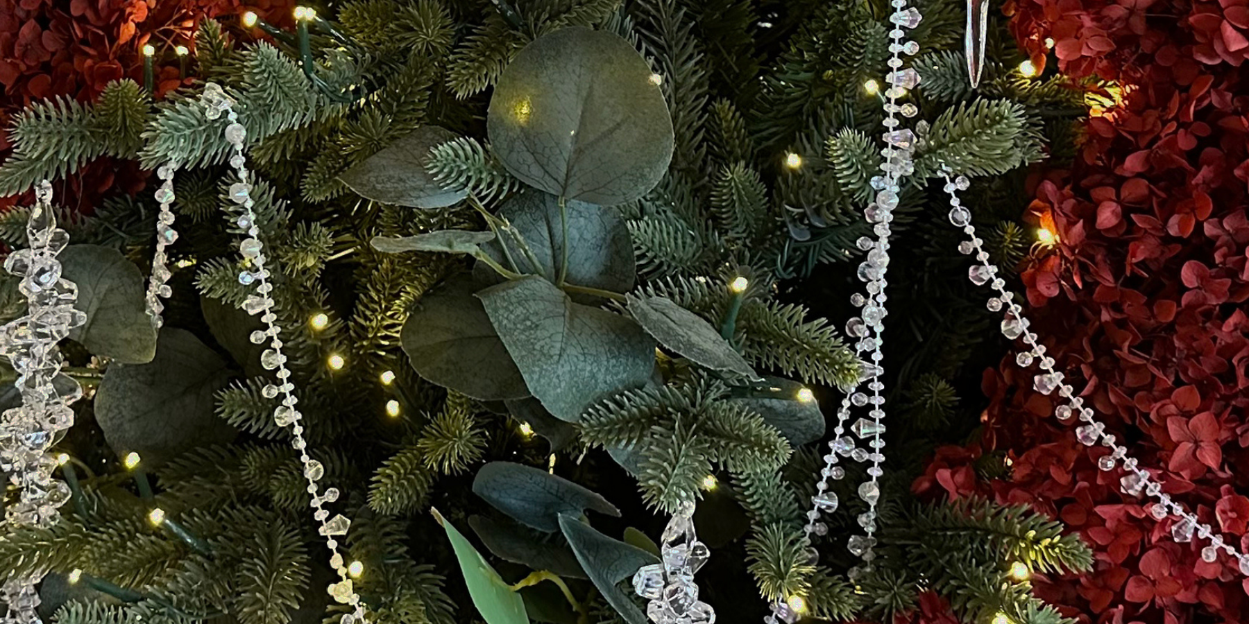 Celebrate the Festive Season in the Heart of Auckland