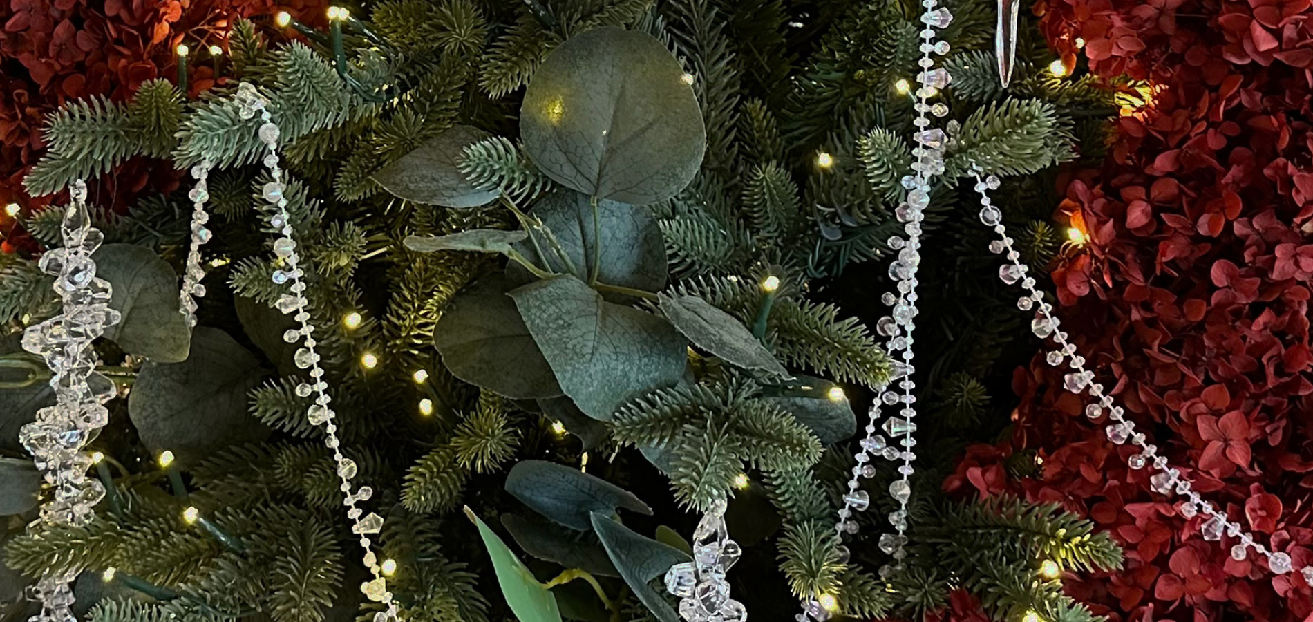 Celebrate the Festive Season in the Heart of Auckland