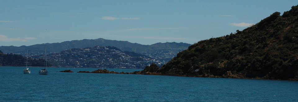 Somes Island