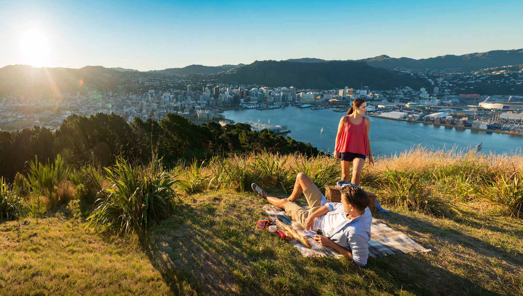 Things to Do in Wellington