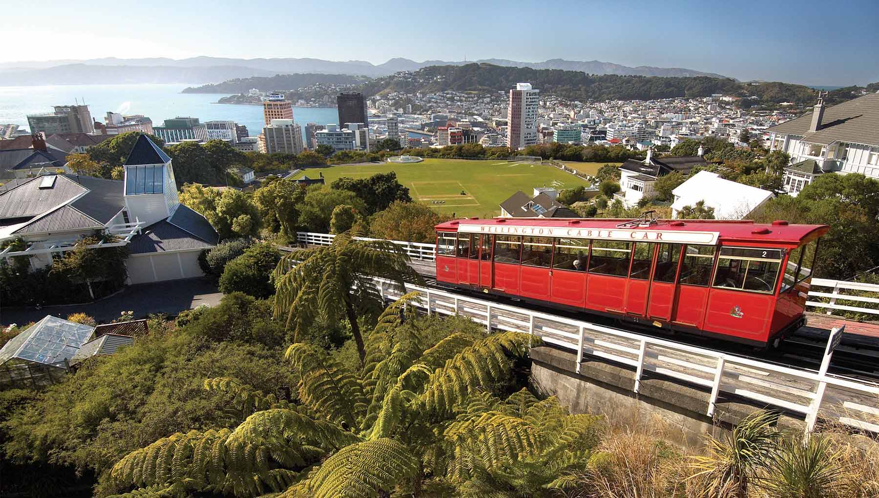 Things to Do in Wellington