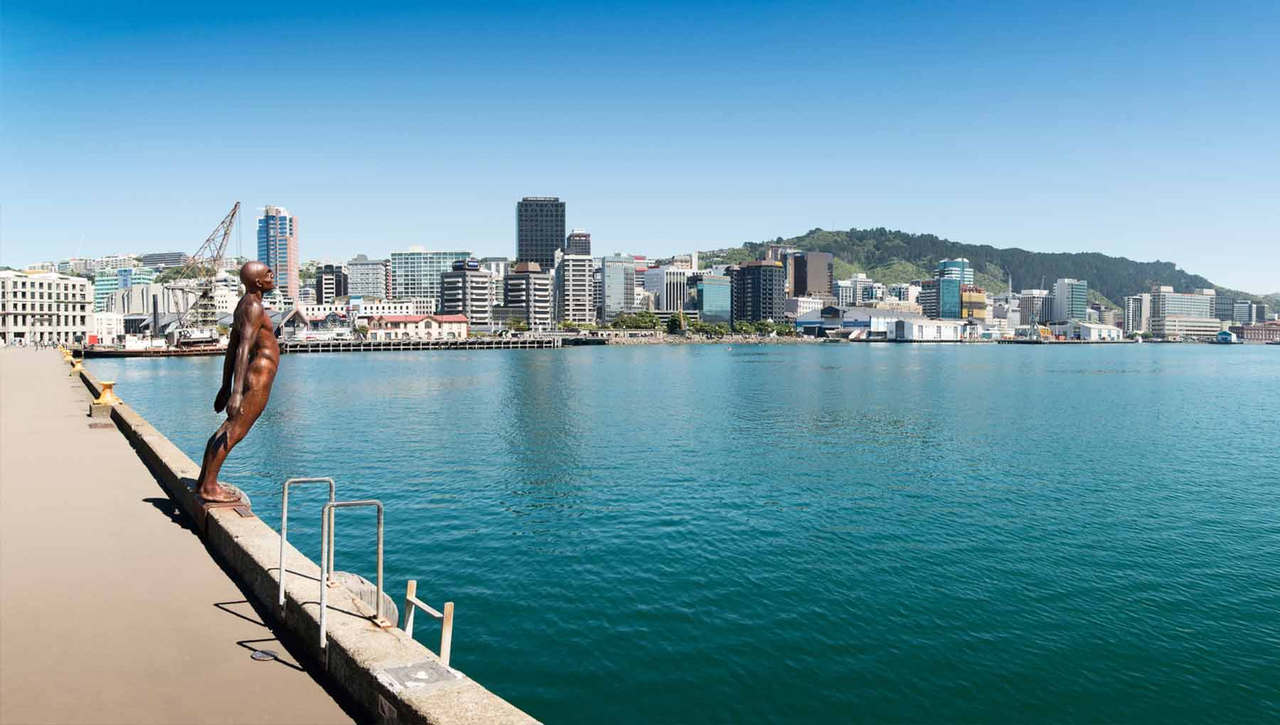 Things to Do in Wellington