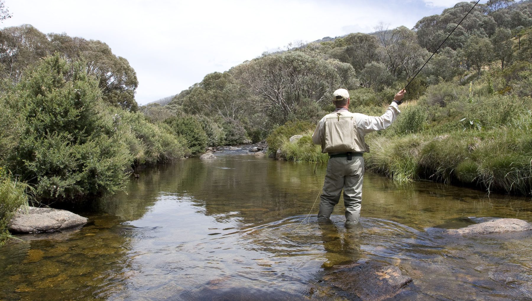 Fly Fishing | Summer