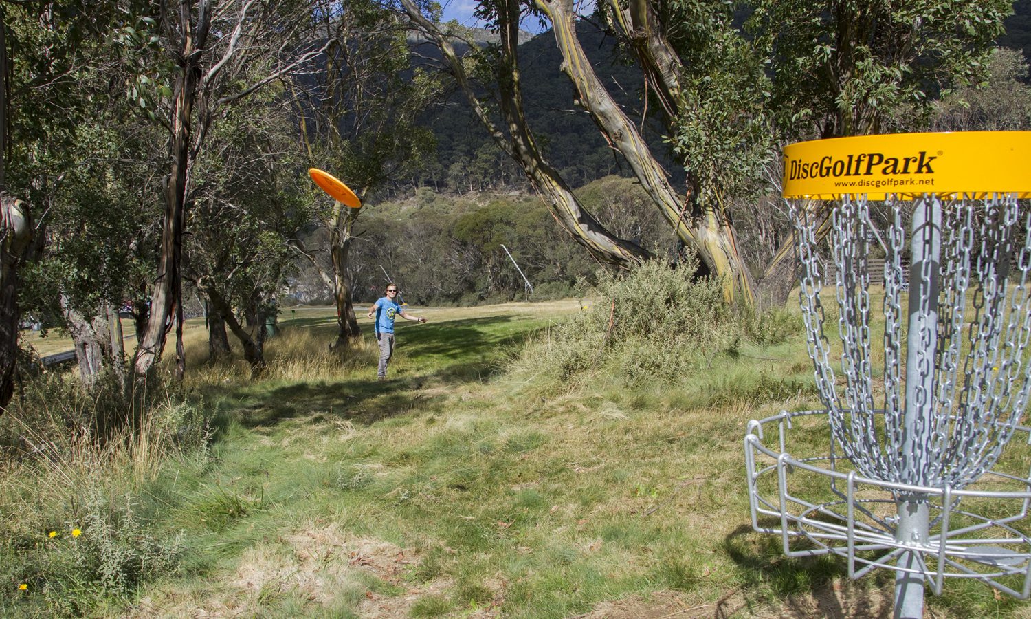 Disc Golf | Summer & Winter