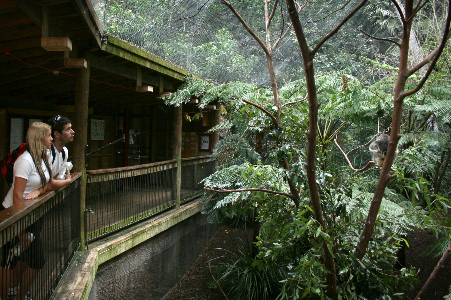 Hotel gallery image 4 of 4