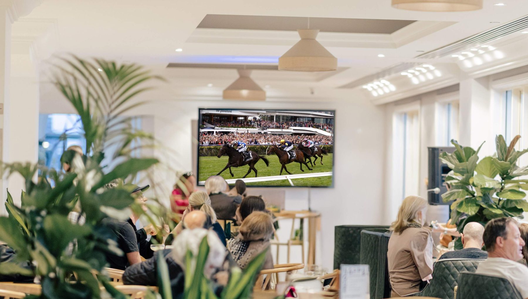 Guests enjoying Melbourne Cup celebrations at Wharf 350, Rydges Newcastle, with live race coverage and harbourside views.