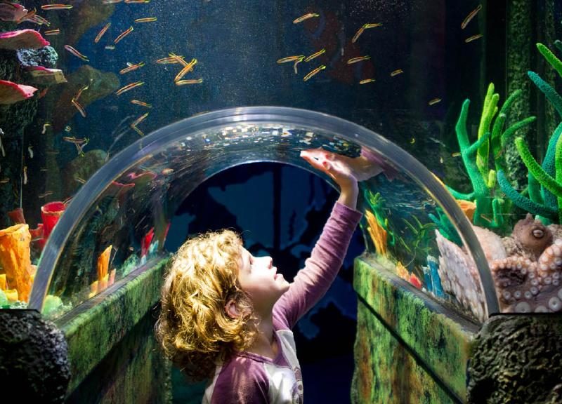 Sea Life Melbourne Aquarium