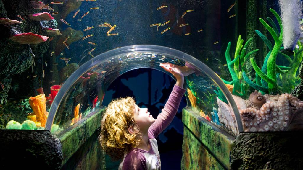 Sea Life Melbourne Aquarium